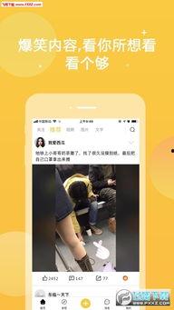 免费爱暖暖视频,带你领略温馨治愈的视觉盛宴